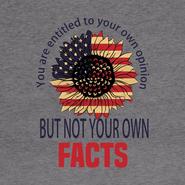 You are entitled to your own opinion not to your own facts. vp debate quote by DODG99